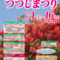 つつじまつり