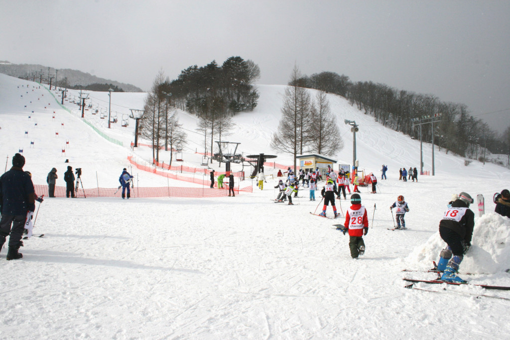 田子町創遊村229スノーフェスタ2019リポート | 八戸圏域連携中枢