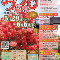 現在つつじが満開です